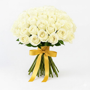 Ivory Bliss – 40 White Roses with Ferrero Rocher