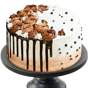 Half Chocolate spark Cake