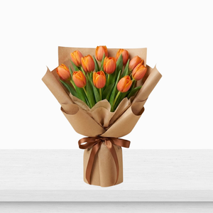 Soft Spring Tulip Harmony