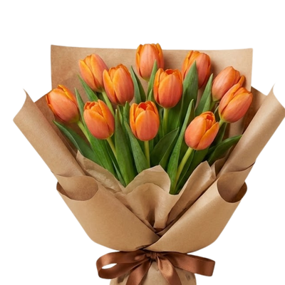 Soft Spring Tulip Harmony