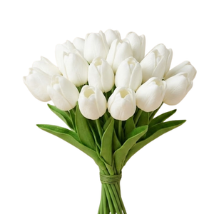 Pristine White Tulip Bunch