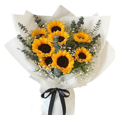 The Summer Blush Romance