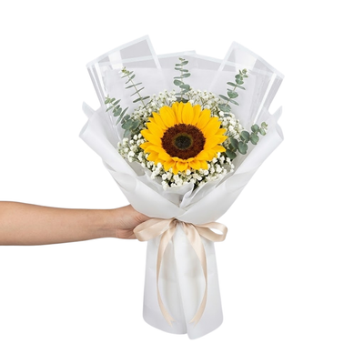 Pure Sunshine & Eucalyptus Solo