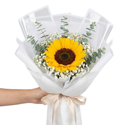 Pure Sunshine & Eucalyptus Solo