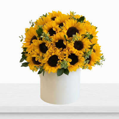 Sunny Radiance Flower Box
