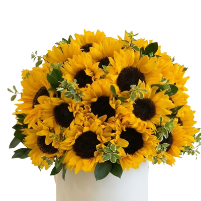 Sunny Radiance Flower Box