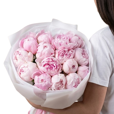 Blushing Peony Perfection