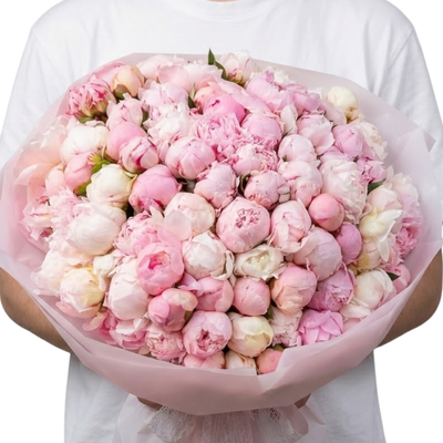 Grand Blush Peony Cloud