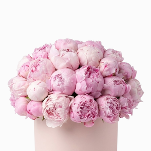 The Blush Peony Hat Box
