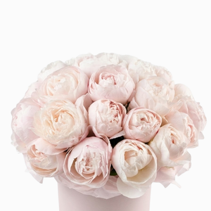Dreamy Blush Peony Hat Box