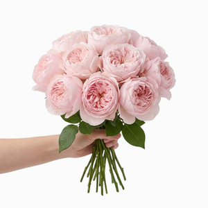 Classic Blush Garden Rose Bouquet
