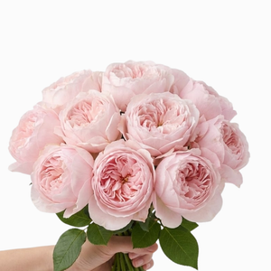 Classic Blush Garden Rose Bouquet