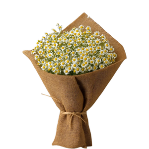 Daisy Meadow – Rustic Chamomile Bouquet