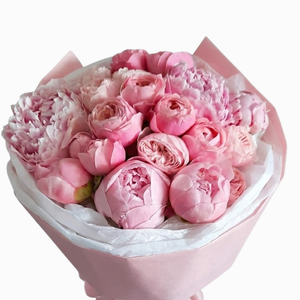 The Ultimate Pink Peony Grandeur