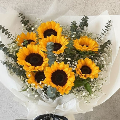 The Summer Blush Romance