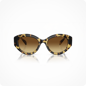 Swarovski SK6005 Women's Sunglasses