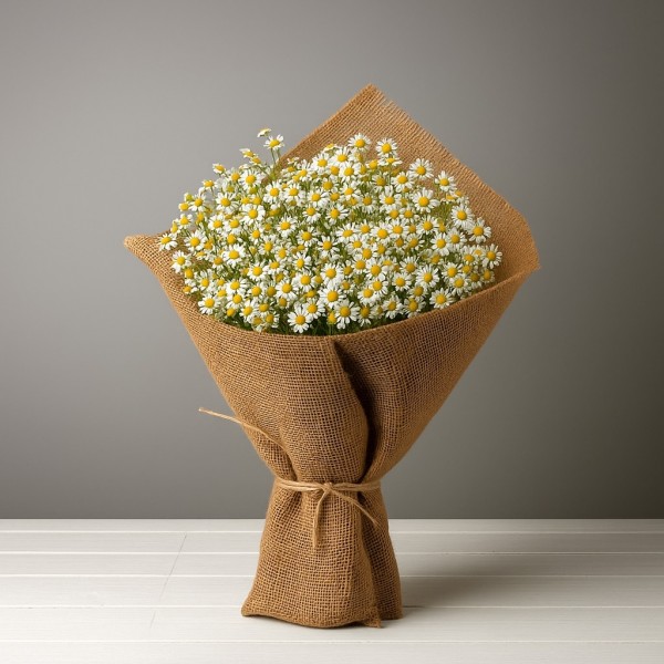 Daisy Meadow – Rustic Chamomile Bouquet