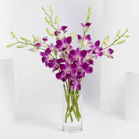 Orchid Mist – 6 Purple Dendrobium Orchids in Glass Vase